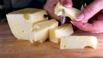 många små bitar av åldrig ost och skiffer på ost fabrik video