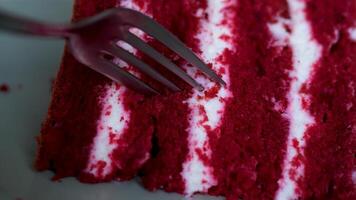 köstlich Kuchen rot Samt Weiß cremig luftig. Kuchen Schichten mit Gabel zerquetschen Dessert Nahansicht Makro von Schichten von Kuchen Schichten von köstlich Kuchen Vergnügen und Kochen kulinarisch Show Studie Struktur von Teig video