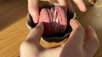 rosado macarrón. cerca arriba de caucásico mujer mordiendo vistoso macarrones en blanco antecedentes video