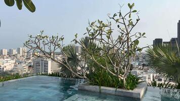 turismo dentro a país. panorâmico tiro do a centro da cidade às ensolarado dia a partir de telhado natação piscina. video