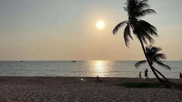 paradijs stranden van fukuok phu quoc Sonasea strand. palm bomen zee zonsondergang Indisch oceaan luxe vakantie in de buurt hotels. reizen reizen agentschap bestemming schoonheid van natuur rust uit ontspanning video