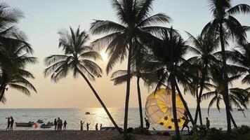 Tilt down during Exotic tropical seaside beach sunset with Palm trees in the foreground Paradise beaches near hotels. Travel travel agency destination beauty of nature rest relaxation video