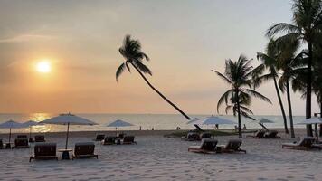 Tilt down during Exotic tropical seaside beach sunset with Palm trees in the foreground Paradise beaches near hotels. Travel travel agency destination beauty of nature rest relaxation video