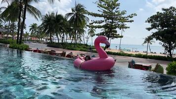 uma jovem turista fêmea dentro bikini banhos de sol em inflável Rosa flamingo dentro natação piscina em quente verão dia. fêmea turista relaxante em flamingo brinquedo colchão jangada dentro natação piscina em uma ensolarado dia. video