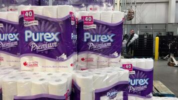 costco grossist- purex toalett papper en stor mataffär har en massa av toalett papper på försäljning för 19 dollar 99 cent video