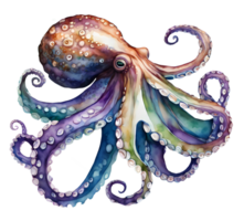 Watercolor and painting octopus sea illustration. AI-Generated png
