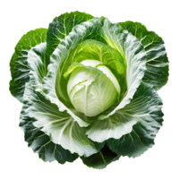 Fresh cabbage vegetable. AI-Generatred png