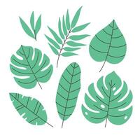 Tropical leaves collection. Summertime, tropical place vector