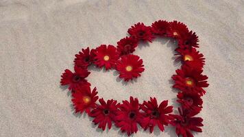 Red gerbera daisies arranged in a heart shape on a gray background, ideal for Valentines Day and romantic occasions video