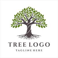 Tree of life logo design isolated on white background vector