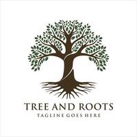 Tree and root company logo design vector