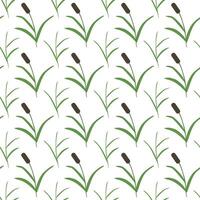 Swamp reeds, simple grass. Seamless pattern. illustration. vector