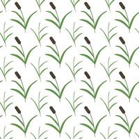 Swamp reeds, simple grass. Seamless pattern. illustration. vector