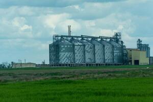 granero ascensor, plata silos en agro fabricación planta para Procesando el secado limpieza y almacenamiento de agrícola productos, harina, cereales y grano. un campo de verde trigo. foto