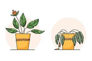 Cute sad wilted plant in a pot. Stages of withering, abandoned and scared houseplant without watering and care vector