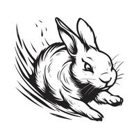 Conejo corriendo diseño imágenes aislado en blanco vector