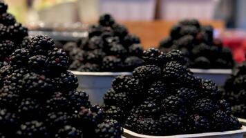 fresa frambuesas y moras en el mercado video