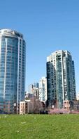 cereja flores dentro cheio flor dentro a cidade florescendo sakura cereja Flor ramo com arranha-céu construção dentro fundo dentro primavera, Vancouver, aC, Canadá. david eu sou parque video