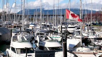 Yachts on the mooring shore stand in a row of daughters many beautiful boats with sails Clear blue sky with no clouds And the calm waters of the Pacific Ocean video