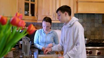 jongen meisje tieners lossen de vaatwasser in de huis in de keuken helpen Bij huis broer zus vrienden klasgenoten eerste liefde zorg voor de meisje helpen haar bloemen houten meubilair gerechten bril video