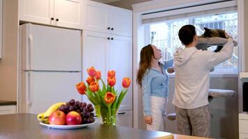 tieners spelen met een kat keuken fruit bloemen wit kasten meisje tiener en een jongen bereiken uit op zoek Bij een Siamees groot kat huisdier kinderen interesseren adolescentie vrienden klasgenoten broer en zus video