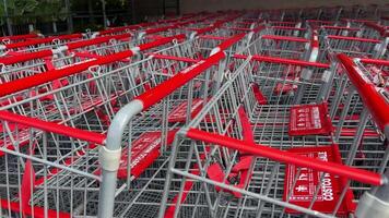 Costco Wholesale huge carts with red handles stand in a row outside the store so people can use them to buy groceries in bulk video