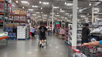 costco de gros achats dans une énorme supermarché gens en marchant par avec chariots choisir des biens haute plafonds dans le boutique différent nourriture sur le compteur se précipiter femmes et Hommes de gros Amérique Canada video