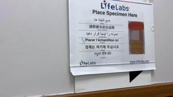 LifeLabs Laboratory take a urine test special plastic jars in the toilet a window for taking and passing analysis toilet bowl cleanliness accuracy laboratory special place treatment find out diagnosis video