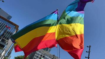 tre bandiere contro cielo gay orgoglio arcobaleno bandiera agitando contro pulito blu cielo, vicino su, isolato con ritaglio sentiero maschera alfa canale trasparenza gay orgoglio arcobaleno bandiera agitando contro trasparenza video