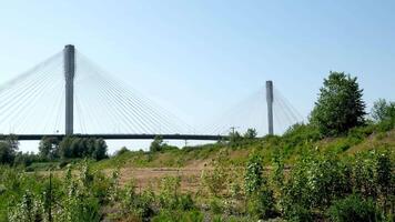 Puerto mann puente Canadá terminado el fraser río en antes de Cristo fondo lado ver de cerca enfocar en cámara Puerto mann puente tomado en Puerto coquitlam, mayor vancouver, británico Columbia, Canadá 2023 video