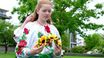 combing hair and unplaiting braid Ukrainian embroidered shirt flowers beautiful vyshyvanka with red roses at red-haired girl friend undoes long thick hair doing hair getting ready for celebration video