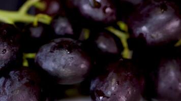 fechar-se do Sombrio uvas com água gotas em Preto fundo. Câmera movimentos lateralmente para a esquerda lado video