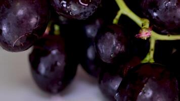 wijnstok groei reeks van elementen, aanplant werkwijze van druif van zaden, knop pauze, bloeiend, fruit set, waarheid, oogst, rijp druif veel. video