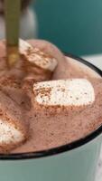 köstlich Kakao trinken Kaffee oder heiß Schokolade, kalt Getränke mit ein Teller von Nachspeisen und Schokolade Chips und Becher voll von Mäusespeck im Glas auf das Holz Tabelle Nahansicht Essen und trinken Süss Konzept video