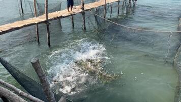 A view from a moving boat across the water of fish farms built on a lake with a small house with a roof, standing on the water. Overlooking the volcano in the background. The camera is moving around. video