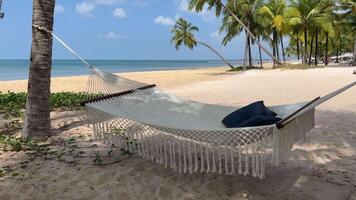 Vietnam phu quoc amaca su spiaggia pace e la tranquillità di amaca su un' estate mare spiaggia con turchese acqua, circondato di tropicale alberi e il sereno suono di onde. il Perfetto viaggio scappa. video