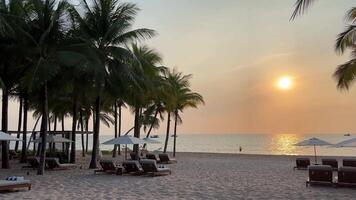 Beautiful tropical beach and sea landscape at sunset Paradise beaches of Fukuoka Phu Quoc Sonasea beach. Palm trees sea sunset Indian Ocean Luxury beauty of nature rest relaxation video