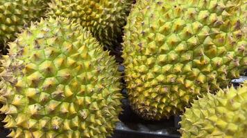 Aziatisch koning van fruit durian is Aan de teller in de nacht markt in Thailand. doerians zijn heel groot en de prijs is duur. exotisch tropisch fruit met groen en stekelig vlees heeft ongebruikelijk smaak. video
