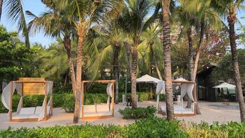 paradijs stranden van fukuoka phu quoc Sonasea strand. palm bomen zee zonsondergang Indisch oceaan luxe vakantie in de buurt hotels. reizen reizen agentschap bestemming schoonheid van natuur rust uit ontspanning video