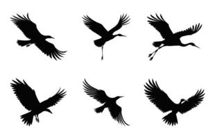 Flying Big Bird Silhouette black Clip art Set, Flying Birds Silhouettes bundle vector