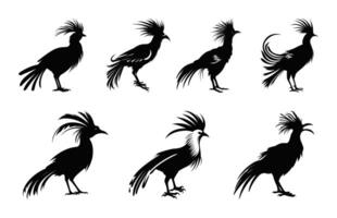 Hoatzin Bird Silhouette black Clip art Set, Hoatzin Birds Silhouettes bundle vector