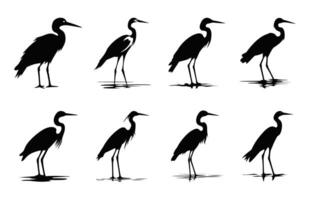 Snowy Egret Bird Silhouette black Clip art Set, Egret Silhouettes bundle vector