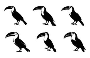 tucán pájaro silueta negro clipart colocar, tucán aves siluetas haz vector