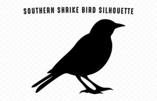 Southern grey shrike bird Silhouette Clip art, A Shrike Bird black Silhouette vector