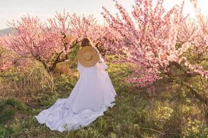 Woman blooming peach orchard. Against the backdrop of a picturesque peach orchard, a woman in a long white dress and hat enjoys a peaceful walk in the park, surrounded by the beauty of nature. photo