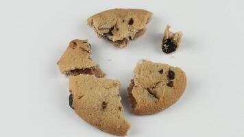 galletas con piezas de chocolate en un blanco antecedentes video