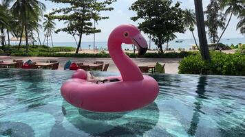 giovane uomo rilassante su un' rosa fenicottero galleggiante nel piscina durante estate video