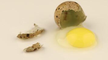Quail egg broken and shell white background video
