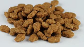Dry food for cats. Animal feed. video