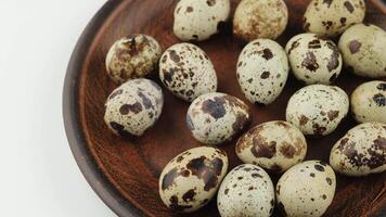 Many quail eggs close-up. video